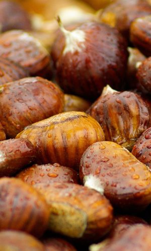 chestnuts-g6262144c2_1280 (1)